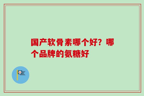 国产软骨素哪个好？哪个品牌的氨糖好