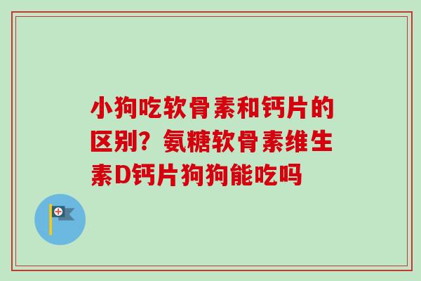 小狗吃软骨素和钙片的区别？氨糖软骨素维生素D钙片狗狗能吃吗