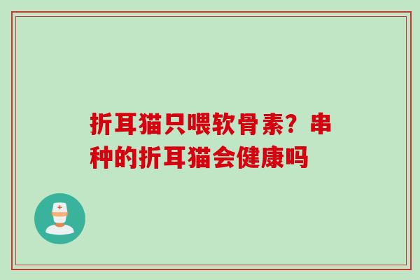 折耳猫只喂软骨素？串种的折耳猫会健康吗