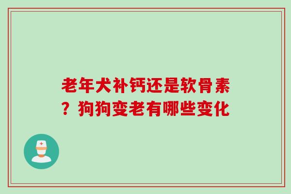 老年犬补钙还是软骨素？狗狗变老有哪些变化