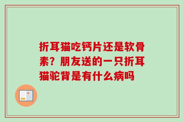 折耳猫吃钙片还是软骨素？朋友送的一只折耳猫驼背是有什么病吗