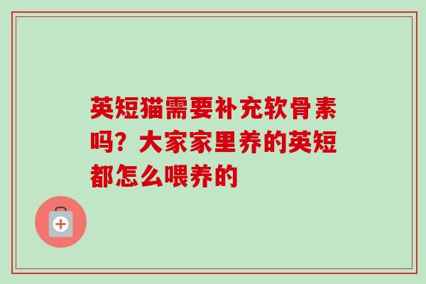 英短猫需要补充软骨素吗？大家家里养的英短都怎么喂养的