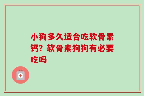 小狗多久适合吃软骨素钙？软骨素狗狗有必要吃吗