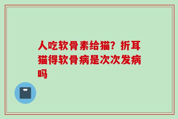 人吃软骨素给猫？折耳猫得软骨病是次次发病吗