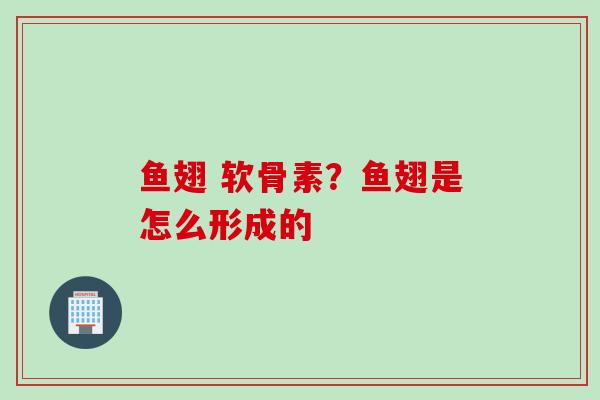鱼翅 软骨素？鱼翅是怎么形成的