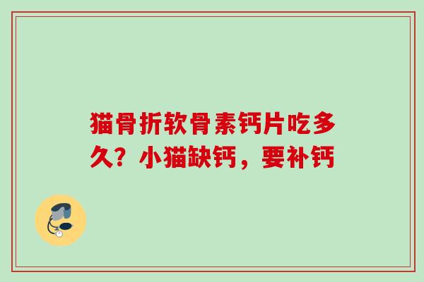 猫骨折软骨素钙片吃多久？小猫缺钙，要补钙