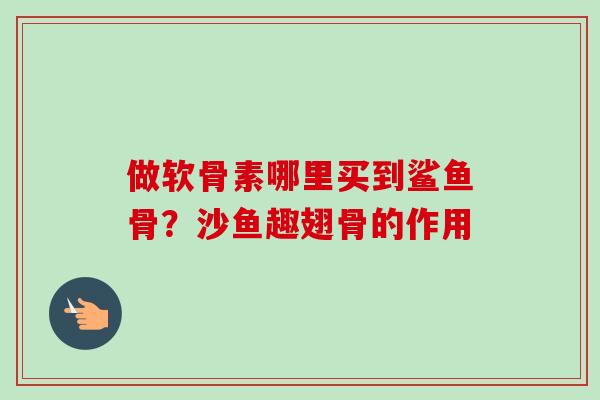 做软骨素哪里买到鲨鱼骨？沙鱼趣翅骨的作用