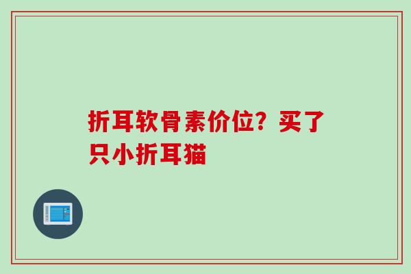 折耳软骨素价位？买了只小折耳猫