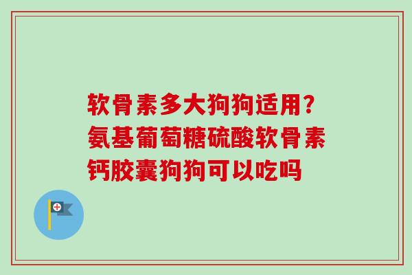 软骨素多大狗狗适用?氨基葡萄糖硫酸软骨素钙胶囊狗狗可以吃吗 软骨素多大狗狗适用?氨基葡萄糖硫酸软骨素钙胶囊狗狗可以吃吗