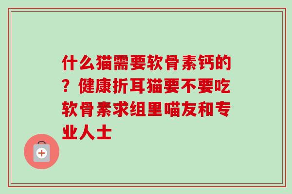 什么猫需要软骨素钙的？健康折耳猫要不要吃软骨素求组里喵友和专业人士