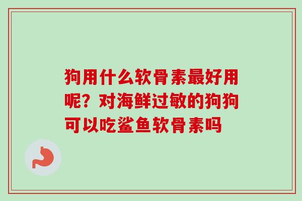 狗用什么软骨素最好用呢？对海鲜过敏的狗狗可以吃鲨鱼软骨素吗