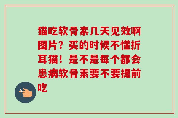 猫吃软骨素几天见效啊图片？买的时候不懂折耳猫！是不是每个都会患病软骨素要不要提前吃