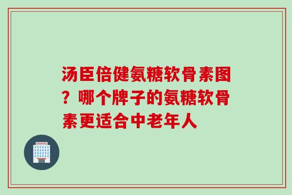 汤臣倍健氨糖软骨素图？哪个牌子的氨糖软骨素更适合中老年人