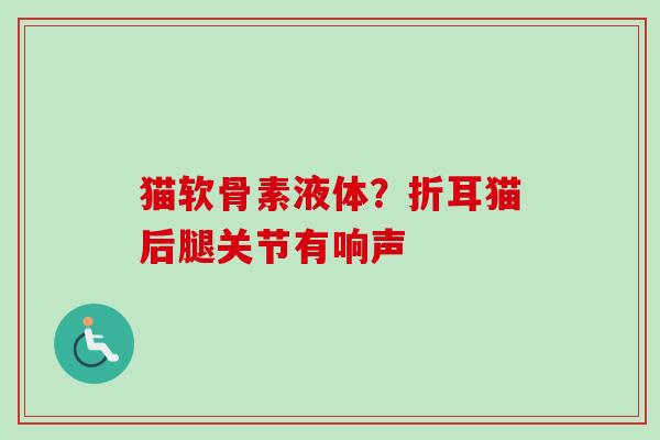 猫软骨素液体？折耳猫后腿关节有响声