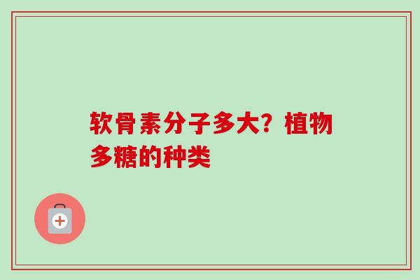 软骨素分子多大？植物多糖的种类