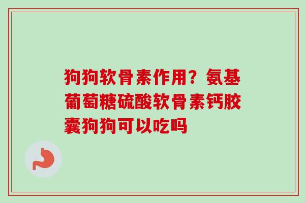 狗狗软骨素作用?氨基葡萄糖硫酸软骨素钙胶囊狗狗可以吃吗 狗狗软骨素作用?氨基葡萄糖硫酸软骨素钙胶囊狗狗可以吃吗