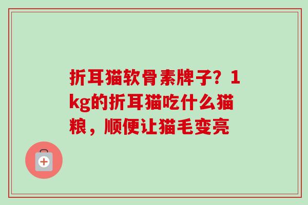 折耳猫软骨素牌子？1kg的折耳猫吃什么猫粮，顺便让猫毛变亮