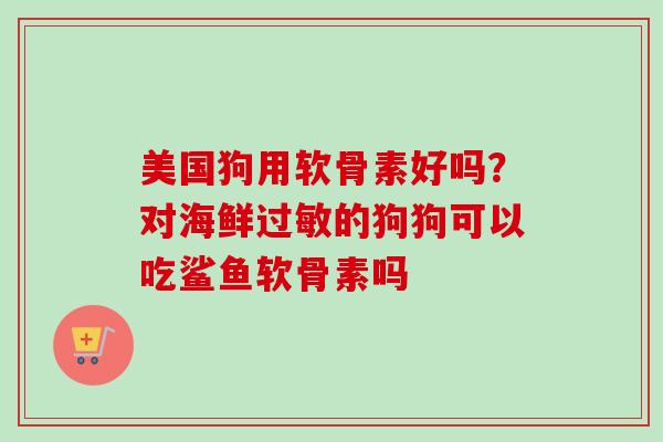 美国狗用软骨素好吗？对海鲜过敏的狗狗可以吃鲨鱼软骨素吗