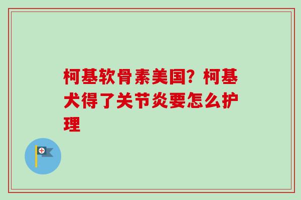 柯基软骨素美国？柯基犬得了关节炎要怎么护理