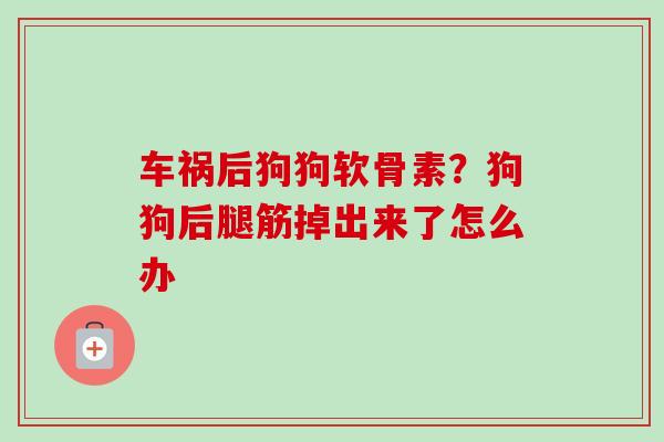 车祸后狗狗软骨素？狗狗后腿筋掉出来了怎么办