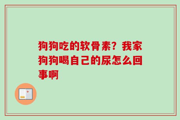 狗狗吃的软骨素？我家狗狗喝自己的尿怎么回事啊