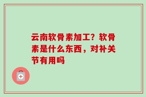 云南软骨素加工？软骨素是什么东西，对补关节有用吗