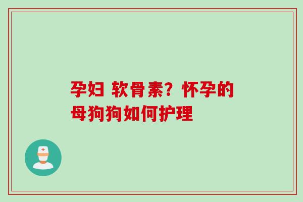 孕妇 软骨素？怀孕的母狗狗如何护理