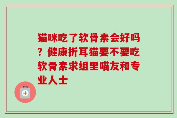 猫咪吃了软骨素会好吗？健康折耳猫要不要吃软骨素求组里喵友和专业人士