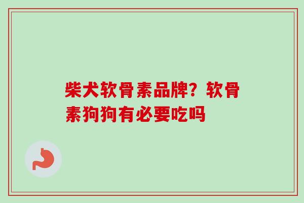 柴犬软骨素品牌？软骨素狗狗有必要吃吗