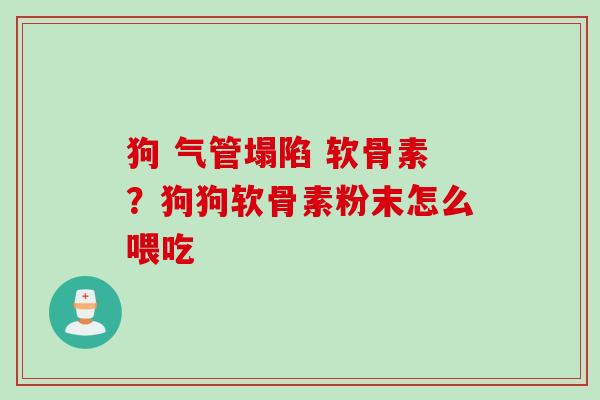 狗 气管塌陷 软骨素？狗狗软骨素粉末怎么喂吃