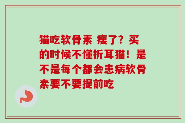 猫吃软骨素 瘦了？买的时候不懂折耳猫！是不是每个都会患病软骨素要不要提前吃
