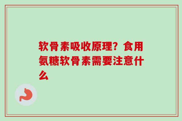 软骨素吸收原理？食用氨糖软骨素需要注意什么