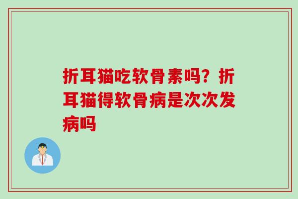 折耳猫吃软骨素吗？折耳猫得软骨病是次次发病吗