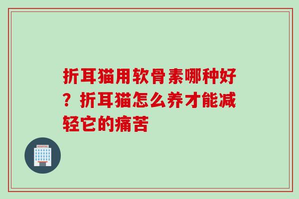 折耳猫用软骨素哪种好？折耳猫怎么养才能减轻它的痛苦