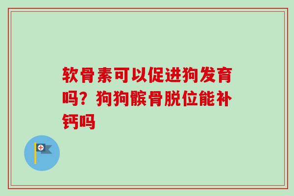 软骨素可以促进狗发育吗？狗狗髌骨脱位能补钙吗