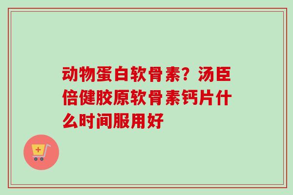 动物蛋白软骨素？汤臣倍健胶原软骨素钙片什么时间服用好