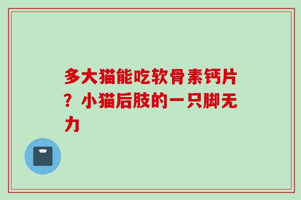 多大猫能吃软骨素钙片？小猫后肢的一只脚无力