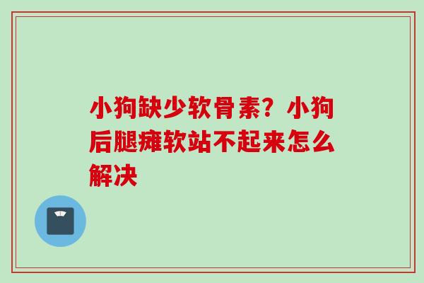 小狗缺少软骨素？小狗后腿瘫软站不起来怎么解决