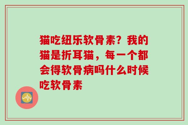 猫吃纽乐软骨素？我的猫是折耳猫，每一个都会得软骨病吗什么时候吃软骨素