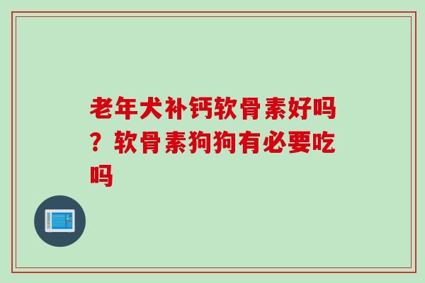 老年犬补钙软骨素好吗？软骨素狗狗有必要吃吗