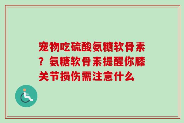 宠物吃硫酸氨糖软骨素?氨糖软骨素提醒你膝关节损伤需注意什么 宠物吃硫酸氨糖软骨素?氨糖软骨素提醒你膝关节损伤需注意什么