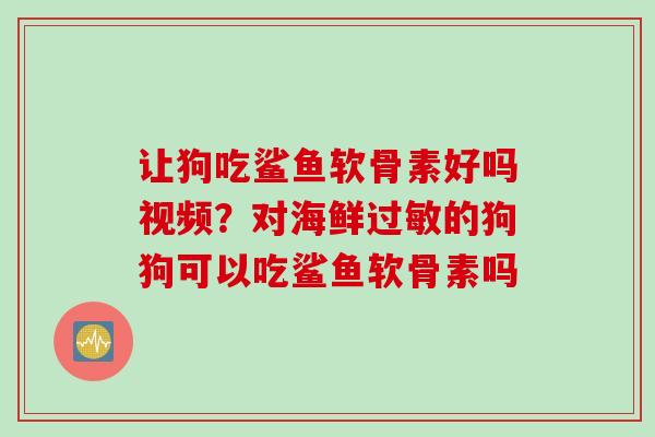 让狗吃鲨鱼软骨素好吗视频？对海鲜过敏的狗狗可以吃鲨鱼软骨素吗