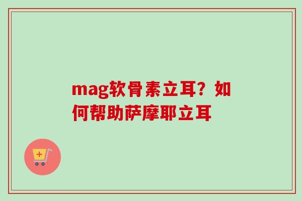 mag软骨素立耳？如何帮助萨摩耶立耳