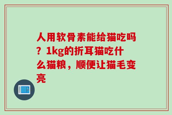 人用软骨素能给猫吃吗？1kg的折耳猫吃什么猫粮，顺便让猫毛变亮