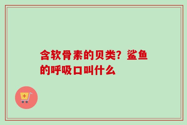 含软骨素的贝类？鲨鱼的呼吸口叫什么