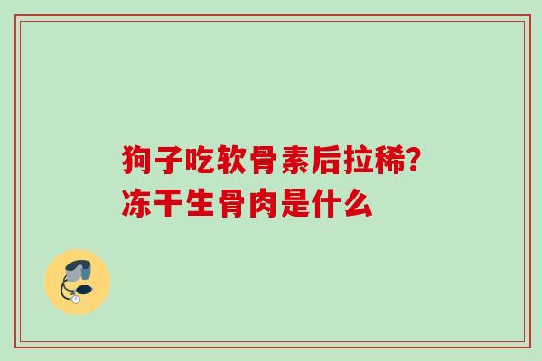 狗子吃软骨素后拉稀？冻干生骨肉是什么
