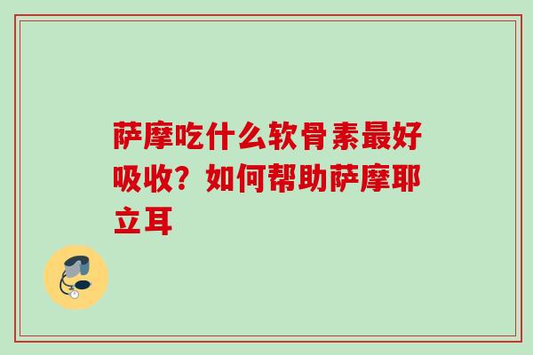 萨摩吃什么软骨素最好吸收？如何帮助萨摩耶立耳
