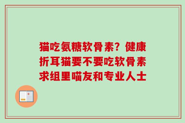 猫吃氨糖软骨素？健康折耳猫要不要吃软骨素求组里喵友和专业人士