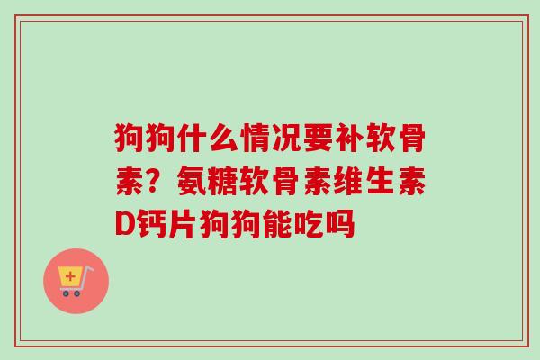 狗狗什么情况要补软骨素？氨糖软骨素维生素D钙片狗狗能吃吗