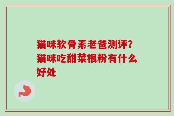猫咪软骨素老爸测评？猫咪吃甜菜根粉有什么好处
